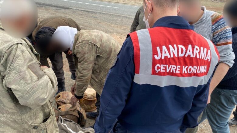  Kars Jandarma Komutanlığı, Kağızman’da kaçak avcıları yakaladı – Birlik Haber Ajansı