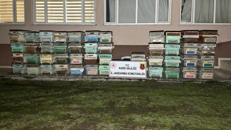  Arı kovanı hırsızları Jandarma ekiplerince yakalandı – Birlik Haber Ajansı