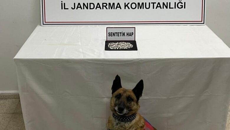  Kars’ta “Tabla” narkotik köpeği yine geçit vermedi – Birlik Haber Ajansı