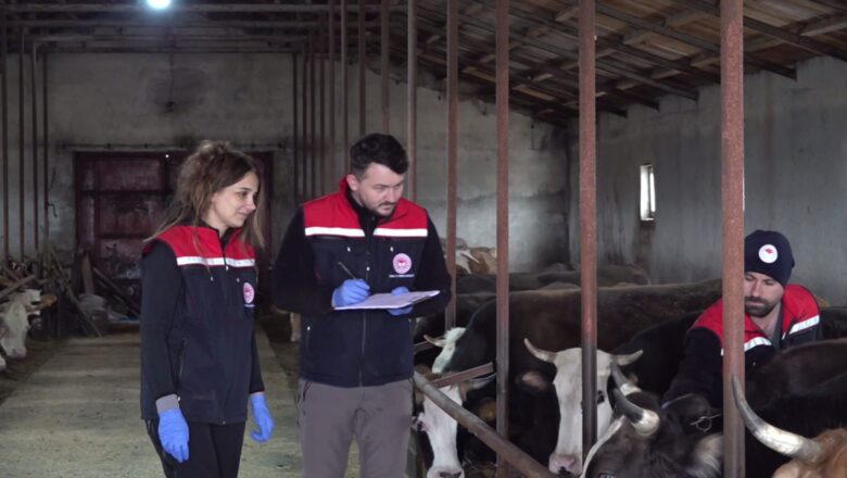  Kars’ta aşılama çalışmaları aralıksız sürüyor – Birlik Haber Ajansı