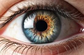 Görme kaybı tarihe karışıyor: Yeni tedavi, retina hasarını onarıyor – Birlik Haber Ajansı