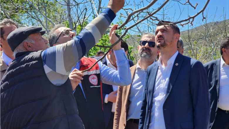  Bakan Yardımcısı Gümen, Burdur’da zirai dondan etkilenen üreticilerle bir araya geldi – Birlik Haber Ajansı