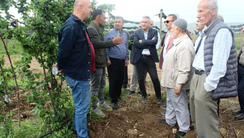  Batman’da böğürtlen yetiştiriciliğine ilgi artıyor – Birlik Haber Ajansı