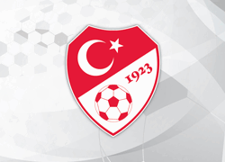 Profesyonel Liglerdeki Takım Sayıları Azaltılacak – Birlik Haber Ajansı