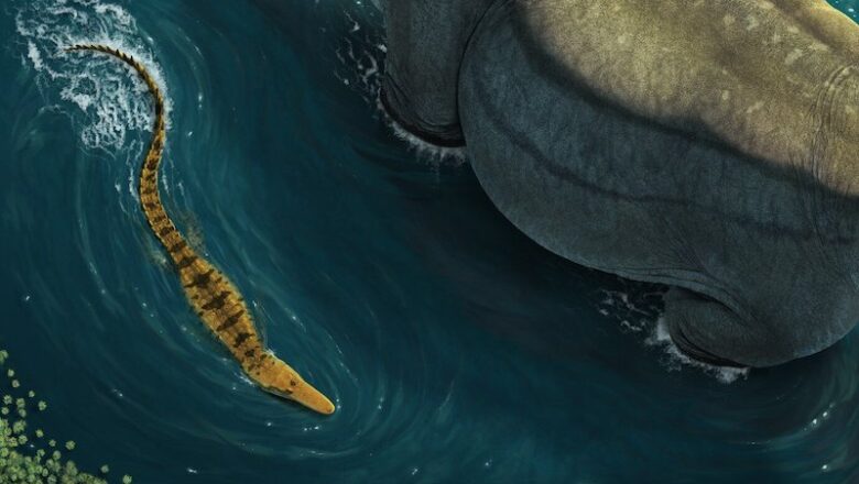  Dinozor avcısı timsah Deinosuchus’un gizemi çözüldü – Birlik Haber Ajansı
