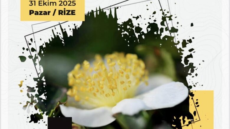  RİZE-PAZAR’DA ÜRETEN KADINLAR İLE İLGİLİ ÇALIŞTAY YAPILACAK…